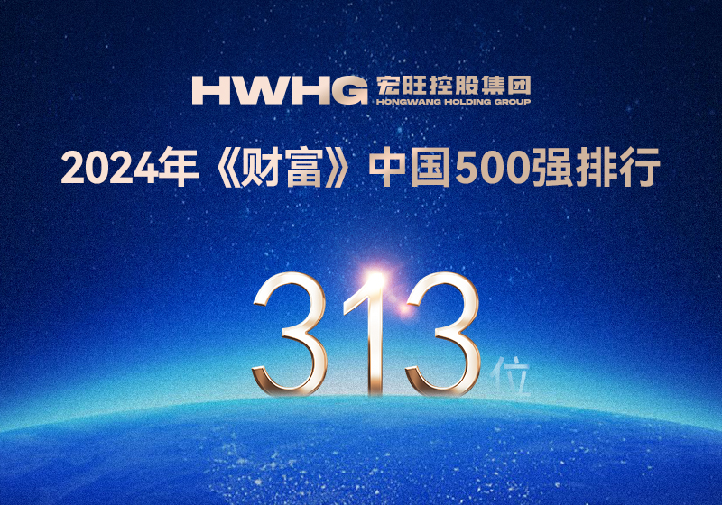 宏旺控股集团位列2024年《财富》中国500强第313位